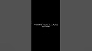 ردة فعل جميلة على سورة الحشر للشيخ ياسر الدوسري #video #part8 #quran #from @the treatert7