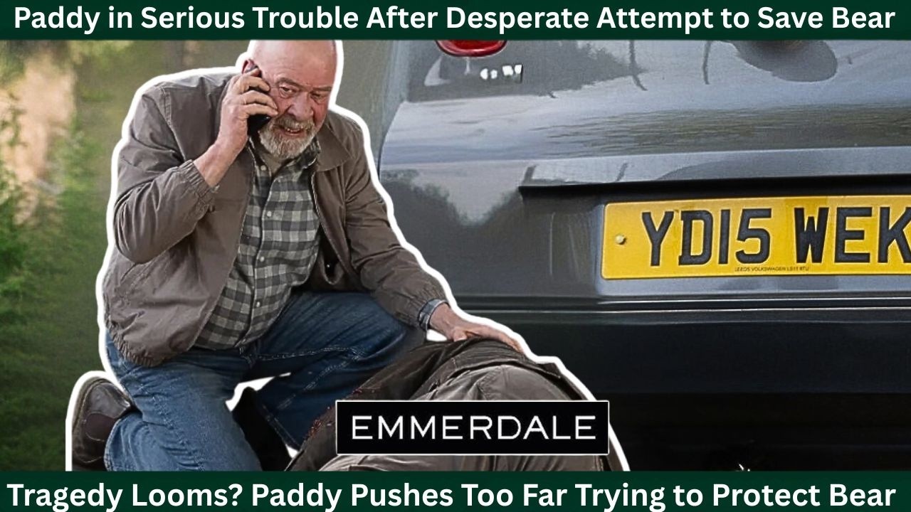 Надвигается трагедия? Пэдди заходит слишком далеко, пытаясь защитить медведя | Эммердейл