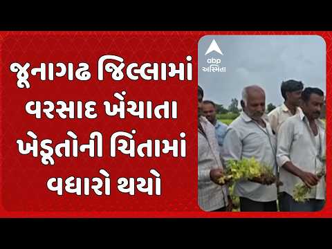Junagadh News | જૂનાગઢ જિલ્લામાં વરસાદ ખેંચાતા ખેડૂતોની ચિંતામાં વધારો થયો