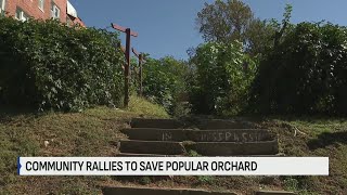 Residents in Northeast KC neighborhood trying to save orchard