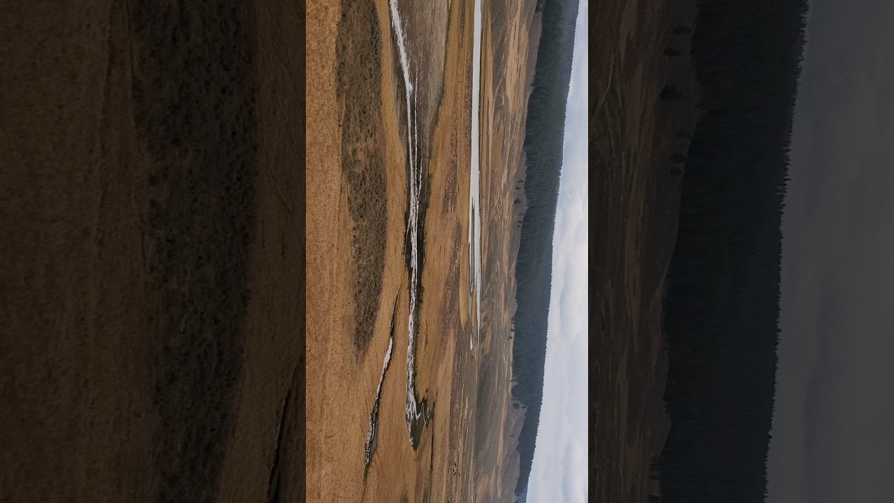 Yellowstone's Hayden Valley Overlook