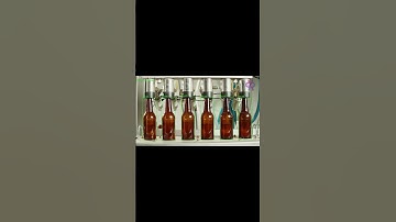 YOLO Bottle Detection for Automated Sorting and Packaging