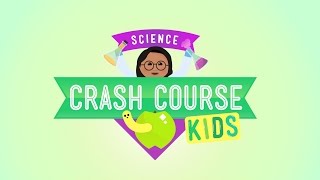 Crash Course Kids Preview!