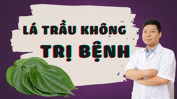 TÁC DỤNG THẦN KỲ TRONG ĐIỀU TRỊ BỆNH TẠI NHÀ BẰNG LÁ TRẦU KHÔNG