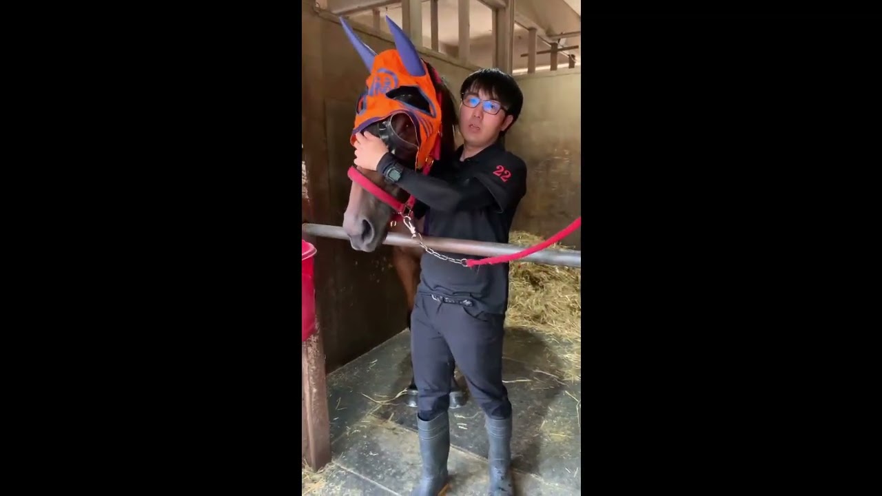 Doko Fuku Kaze Preparing for Battle #831 - YouTube