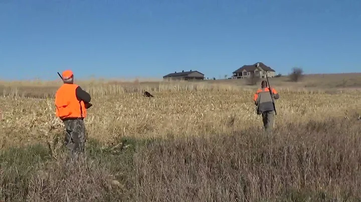 Opening Day Pheasant Season - Iowa 2022