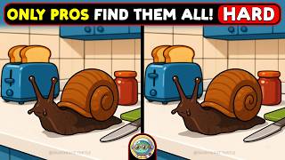 🐢🧩 Spot 3 Differences | Test Your Sharp Eyes 🧩🐢 | Quizonaut Turtle screenshot 1