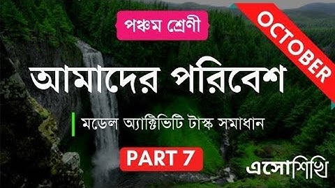Class 5 "Amader Poribesh"Model Activity Task (October-part 7).
