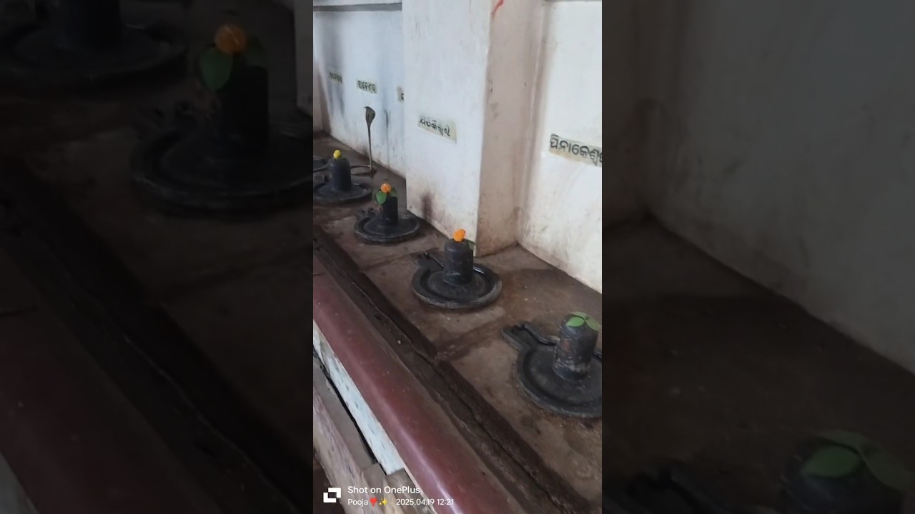 64 shiva lingas at biraja temple🙏 