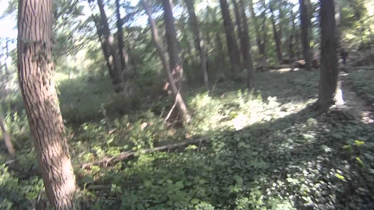 Airsoft Ambush- Newington Airsoft Team