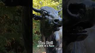The Bull, Farm Bully