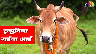 रनझनय गईय आई र Runjhuniya Gaiya Aai Re By Skool Tone