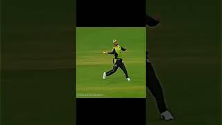 #ipl best run outs in cricket history 😱🔥 #shorts #cricket #runout#viral #cricket #shorts #ytshorts