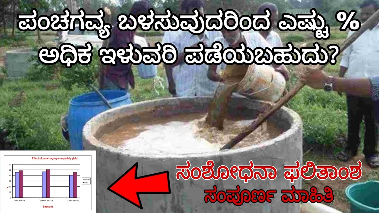 ಪಂಚಗವ್ಯ ತಯಾರಿಸುವ ವಿಧಾನ &  ಉಪಯೋಗಗಳು | Panchagavya complete information | Benefits and case studies |