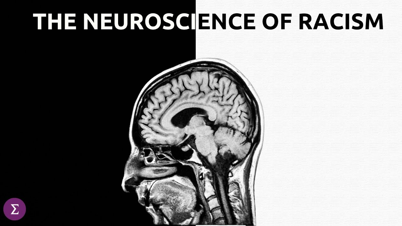 Do IQ tests work?  Richard Haier and Lex Fridman 