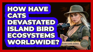 How Have Cats Devastated Island Bird Ecosystems Worldwide? - Bird Watching Diaries