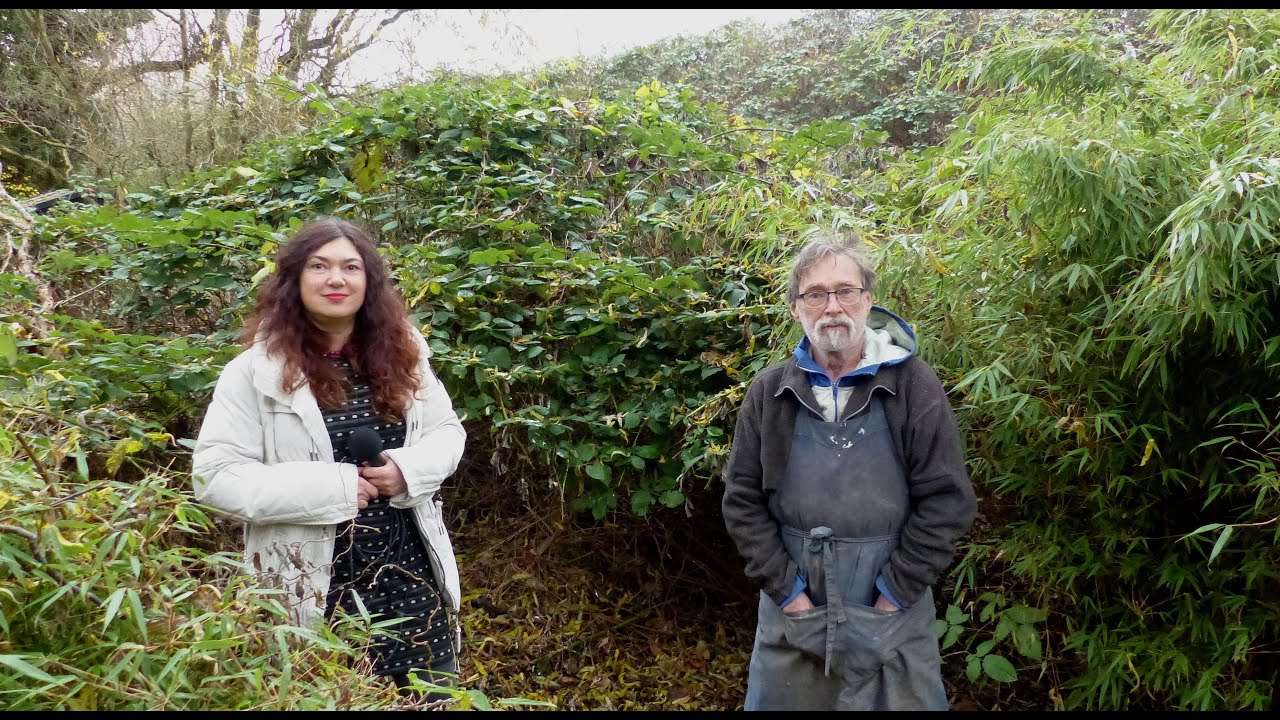 Cultuurmakers in Hoogvliet (5) Kerst en Nieuwjaarswens via Stichting VICA / Hoogvliet 2021