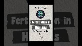 Fertilization in Humans#NCERTBiology #Class12Biology #BiologyShorts #CBSEBiology #NEETBiology #NCERT