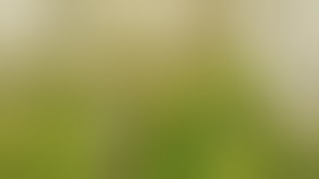 Mars Hydro TSW2000: Week 7 of Flower, were goin into the darkness!