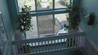 33 Bonnie Gellman Court video tour