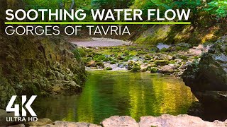 Gentle Forest River Sounds with Birds Chirping - Relaxing Ambience of Gorges of Tavria