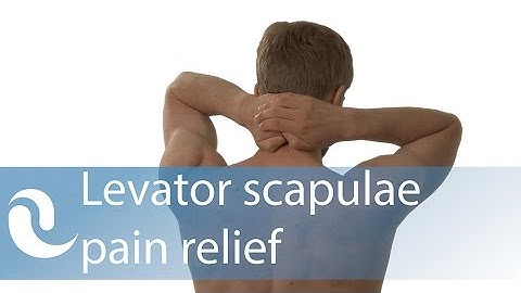Levator scapulae trigger point self-release with hands