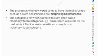 Chapter 2.1: Grammatical categories - Kuiper and Allan