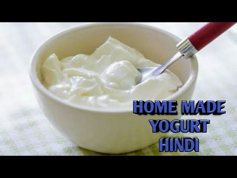 hindi yogurt