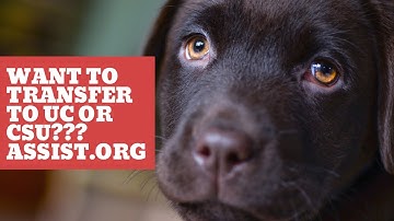 Guide Using Assist.org Transferring to a CSU or UC