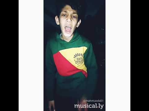 مهرجان مشبطة جايين من تاني حالات واتس اب  