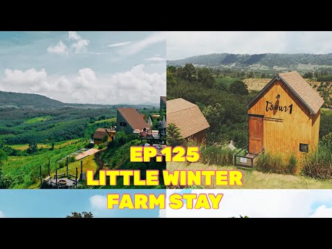 EP-125 พาเที่ยวคาเฟ่อำเภอน้ำหนาว  LITTLE WINTER FARM STAY