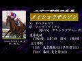 21世紀の名馬　メイショウサムソン