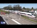 Railcam Mierlo - Hout