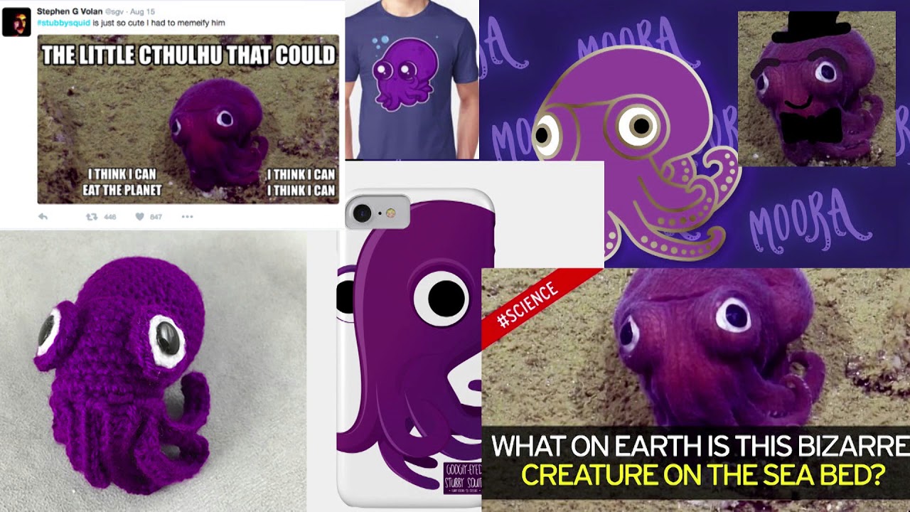 Here be Dragons: Sea Stories