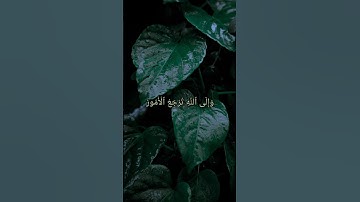 (وَإِن يُكَذِّبُوكَ فَقَدۡ كُذِّبَتۡ رُسُلٌ ...)⏺️سورة {فاطر} محمد عبدالقادر