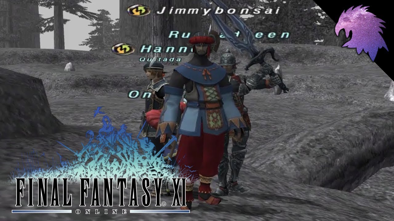 FFXI | How About Some Summoner? | Leveling in Escha with Hannon's Puppermaster