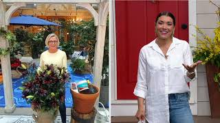 Barbara King 6-Piece Blacklist Lily Live Bulbs on QVC