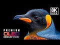 Cinematic 8K 120fps ULTRA HD | HDR Dolby Vision – Calm &amp; Relaxing Music