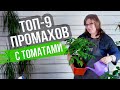 Рассада томатов: 9 ГЛАВНЫХ ОШИБОК