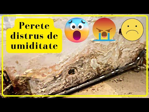 Cum repari un
