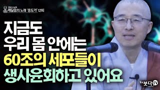 지금도 우리 몸 안에는 60조의 세포들이 생사윤회하고 있어요 | 법상스님의 증도가 12회(6-2) | 분별 세상 깨달음 집착 고통 지혜 행복 현실 존재 인연 소통 인연