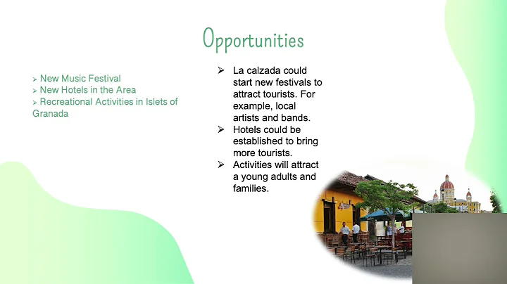 Frank Goff  SWOT Analysis Project
