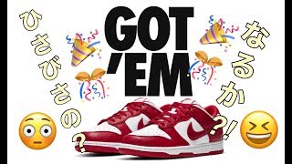 2020年6月12日、オンラインチャレンジ！ナイキダンクロー！Nike Dunk Low “St Johns”！University Red！DB0731-001