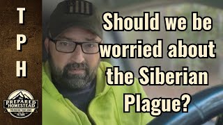 Should we be worried about the Siberian Plague?