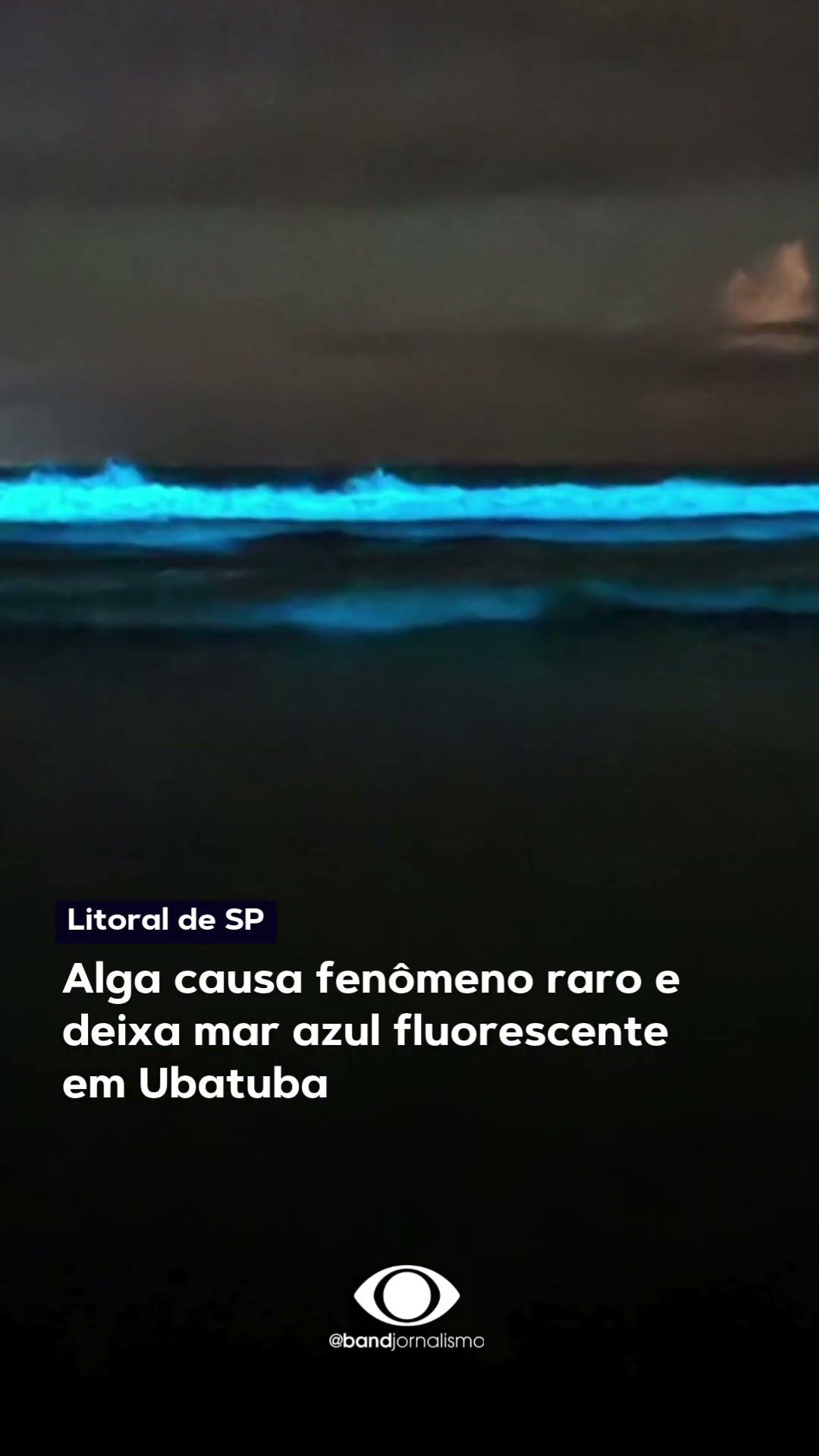Alga causa fenômeno raro e deixa mar azul fluorescente em Ubatuba