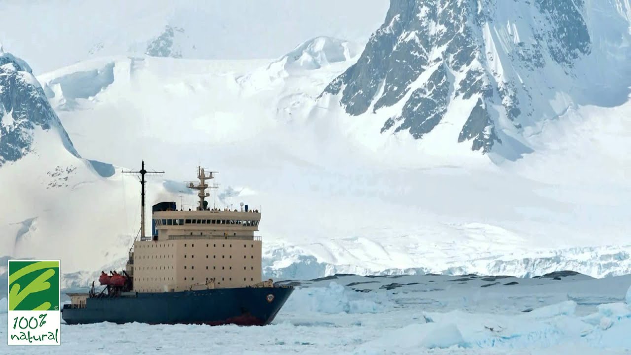 ¿Conoces el Aceite de Krill?