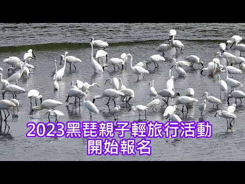 2023黑琵親子輕旅行活動開始報名