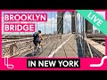 🔴 Updates von der Brooklyn Bridge - Neuigkeiten aus NYC
