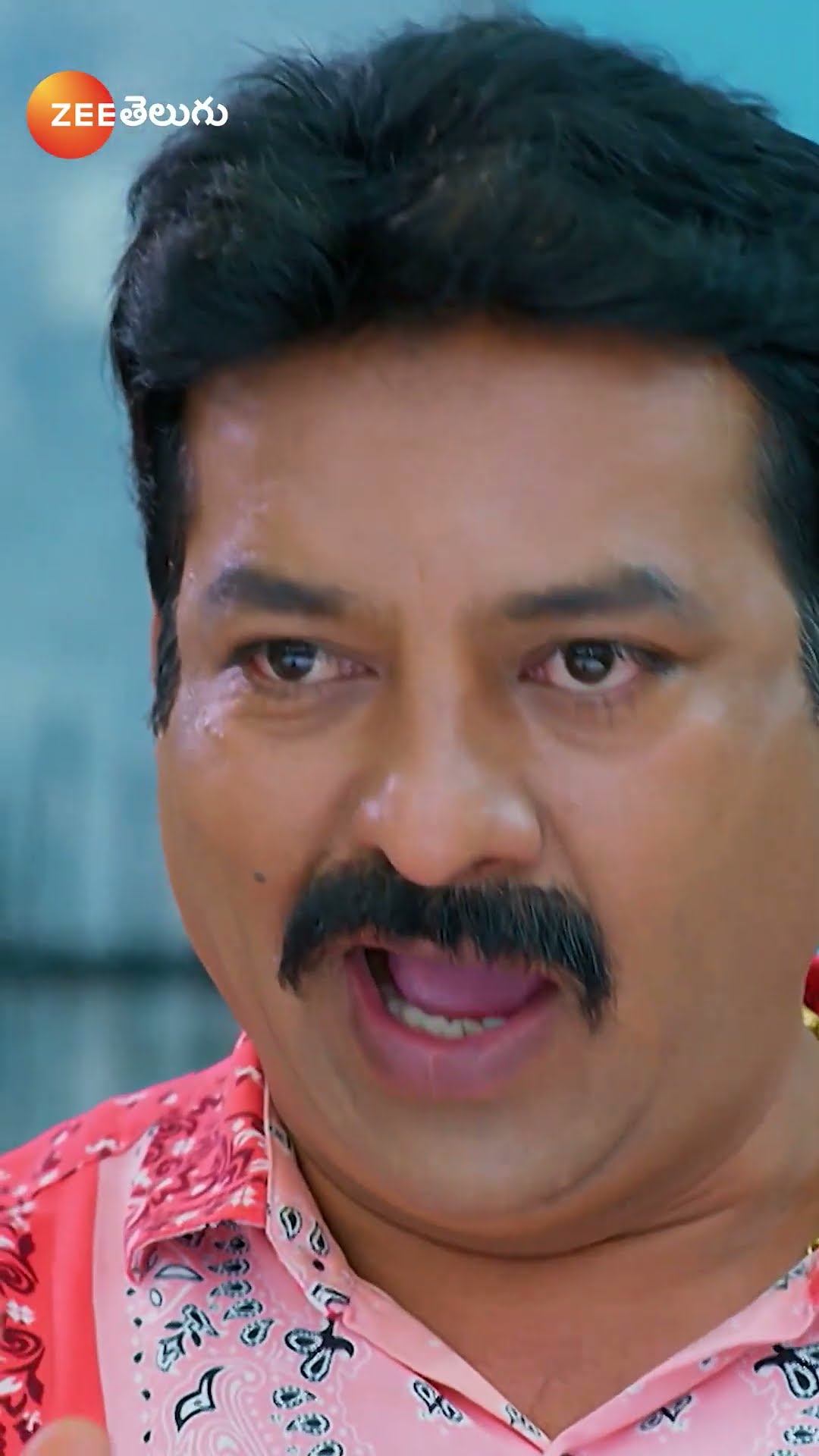 #Seethe Ramudi Katnam #Shorts #Zee Telugu #Entertainment #Family Drama