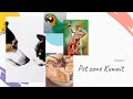 Petzone Vlog جولة في بت زون 